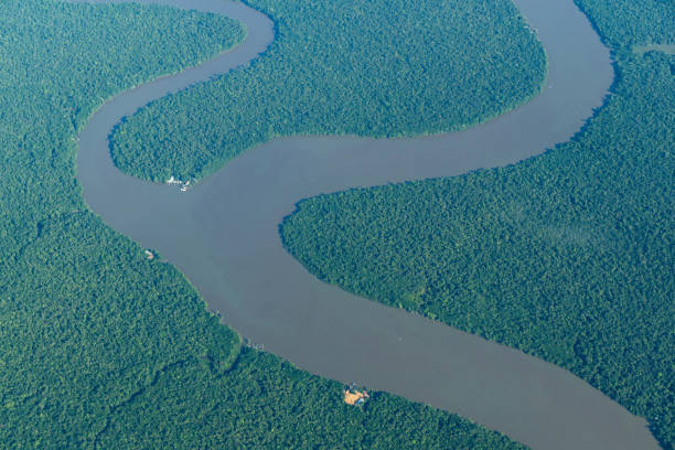 istock Aerial view of amazon rainforest and some rivers. 1357762966