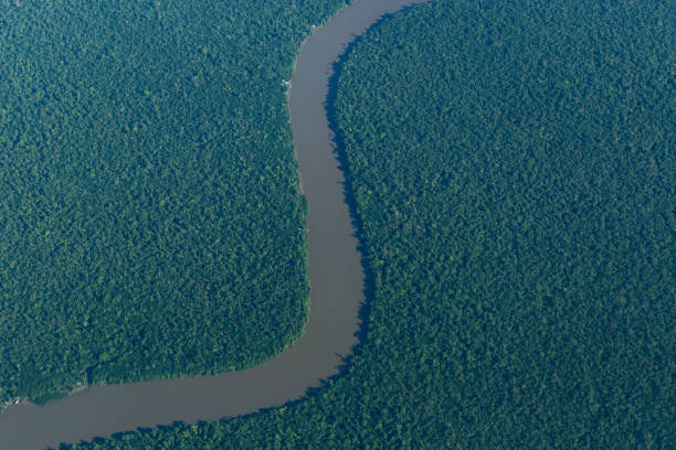 istock Aerial view of amazon rainforest and some rivers. 1357763033