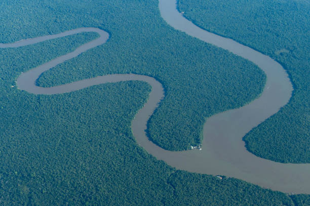 istock Aerial view of amazon rainforest and some rivers. 1357763037