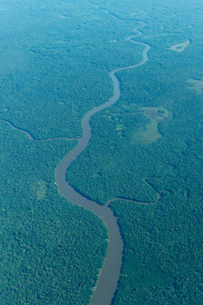 Aerial view of amazon rainforest and some rivers.