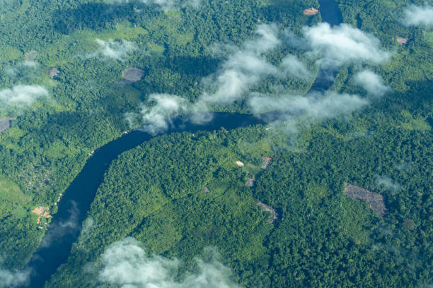 istock Aerial view of a deforested area in the amazon rainforest. 1357763661