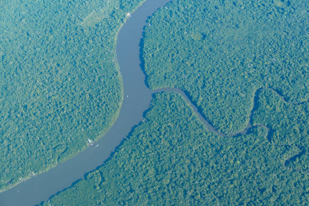 istock Aerial view of amazon rainforest and some rivers. 1357763713