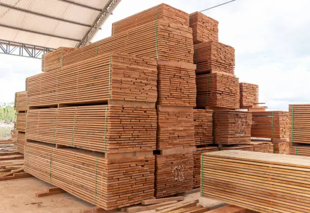 Packed piles of lumber, ready to be sold and transported.