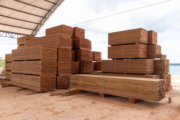 istock Packed piles of lumber 1357763827