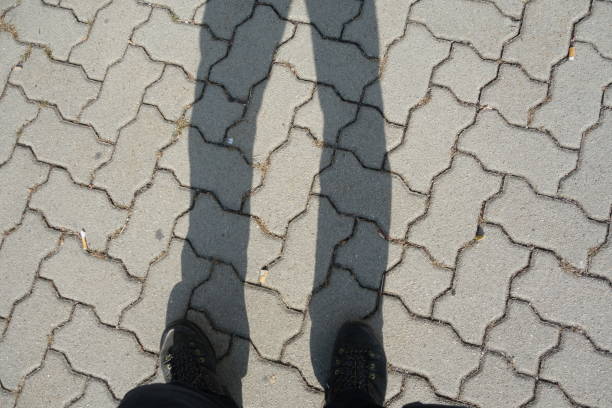 istock sunshine and shadows, brightness and darkness 1357765409