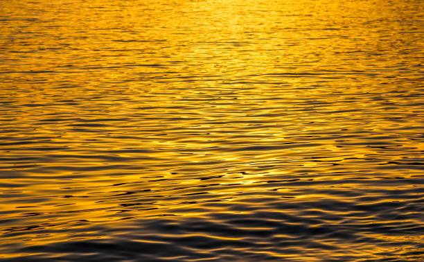 istock Golden sea waves in sunset glow as surface background. Summer holidays concept 1357766456