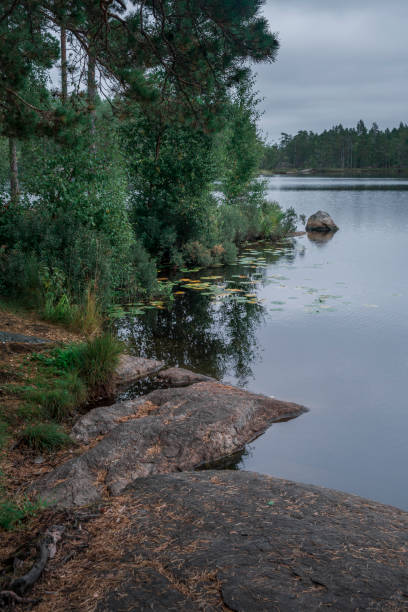 istock Lakeside with forest in Tyresta National Park in Sweden 1357766760