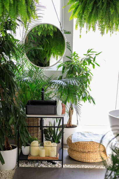 Modern stylish bathroom decorated with tropical plants, wicker decor elements, mirror and body care cosmetics