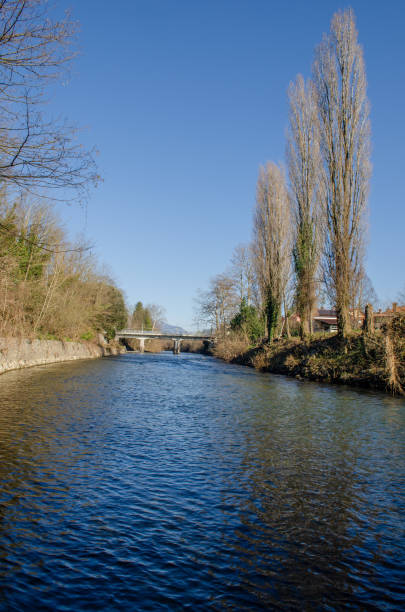 istock Beautiful winter of Vipava river 1357771405
