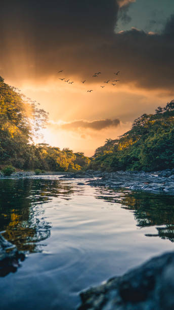 Nature and beautiful landscapes of the Dominican countryside