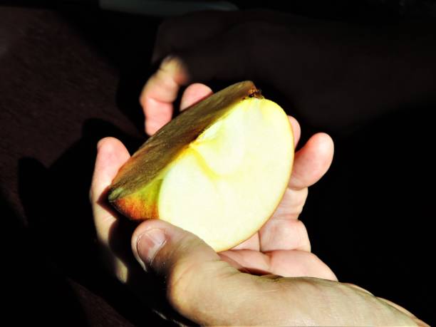 istock Piece of apple. 1357771459
