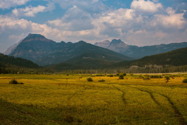 valle de lamar - parque nacional de yellowstone fotografías e imágenes de stock