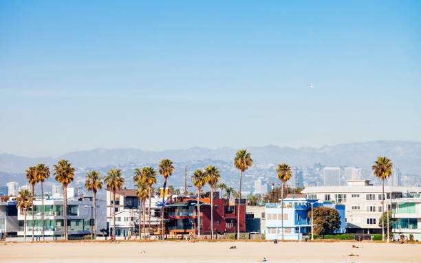 венис-бич, калифорния - palm tree california city of los angeles venice beach стоковые фото и изображения