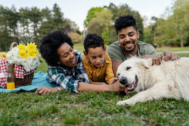 istock Young loving family having fun in the park 1357774010