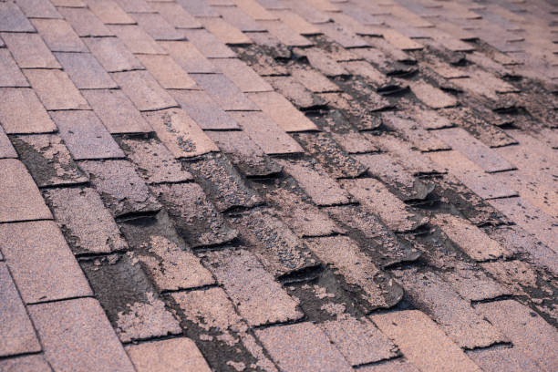 istock Weathered and Damaged Roof 1357774360