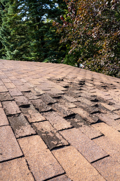 istock Weathered and Damaged Roof 1357774440