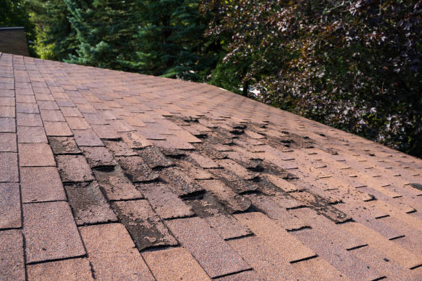 istock Weathered and Damaged Roof 1357774448