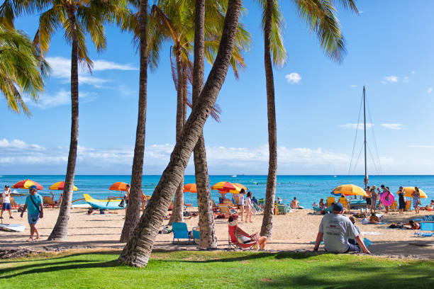 Oahu Hawaii - August 10th, 2017 : Peoples relaxing on the beautiful Waikiki Beach in Oahu Hawaii.