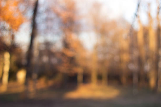 istock City park bokeh background 1357780125