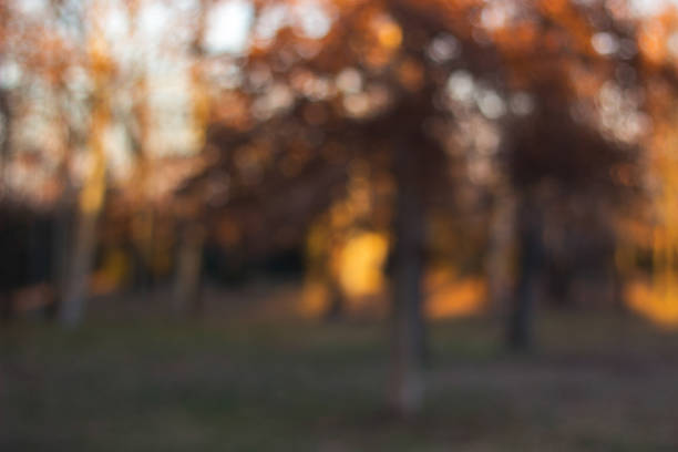 istock City park bokeh background 1357780268