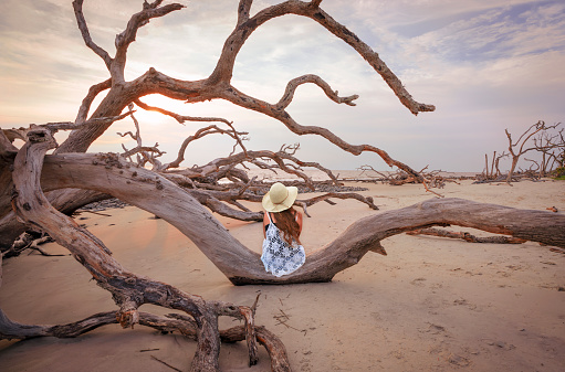 Woman relaxing on the beach with weathered trees at sunset. Girl sitting on the tree branch on the beach. Driftwood Beach on Jekyll Island, Georgia, USA.