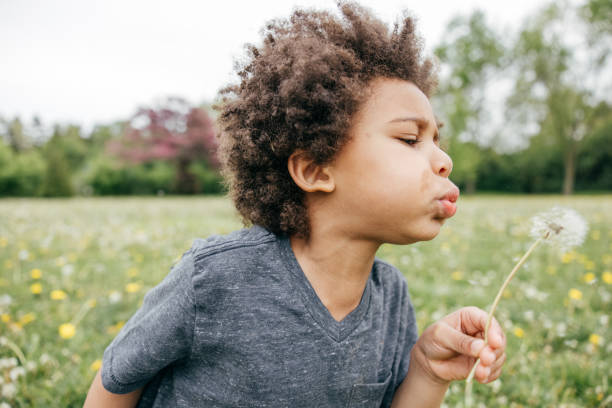istock Boy blowing seeds off dandelion, close up, side view 1357785707