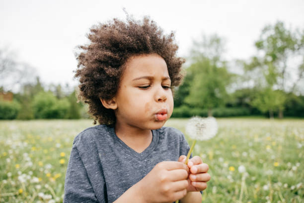 istock Boy blowing seeds off a dandelion, close up, side view 1357785711