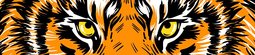 Tiger eyes vector graphics. Horizontal banner, poster with tiger eyes. Realistic drawn face of a tiger, vector illustration.