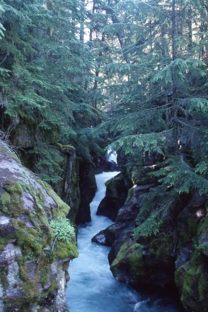 istock Avalanche Falls in Glacier National Park 1357789228