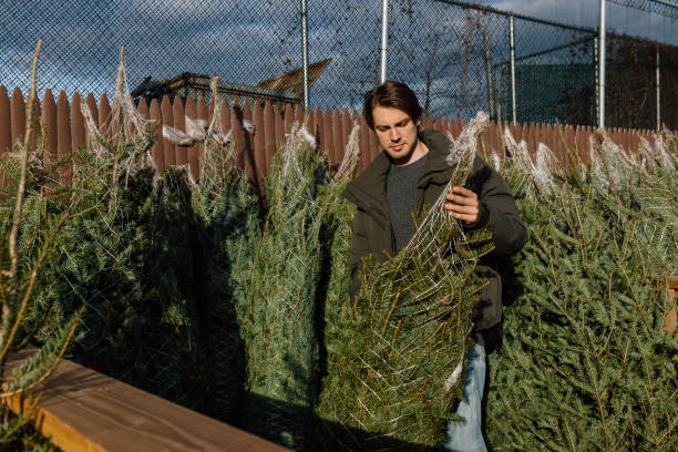istock Man selecting a Christmas tree at an outside market 1357789281