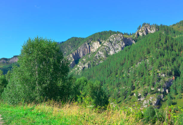 istock A mountain slope in the Altai 1357790204