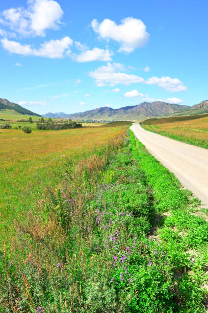 istock Rural road in the Altai mountains 1357790945
