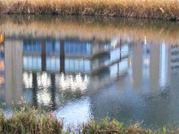 At the pond after sunset. Upside down.
