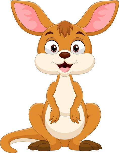 ilustraciones, imágenes clip art, dibujos animados e iconos de stock de pequeño canguro lindo de dibujos animados sobre fondo blanco - kangaroo animal humor fun