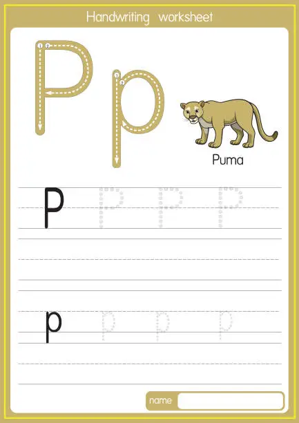 Vector illustration of Vector illustration of Puma with alphabet letter P Upper case or capital letter for children learning practice ABC