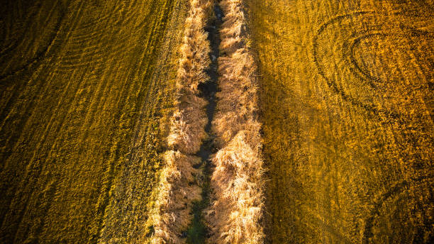 istock Wisconsin Autumn farmland 1357806653