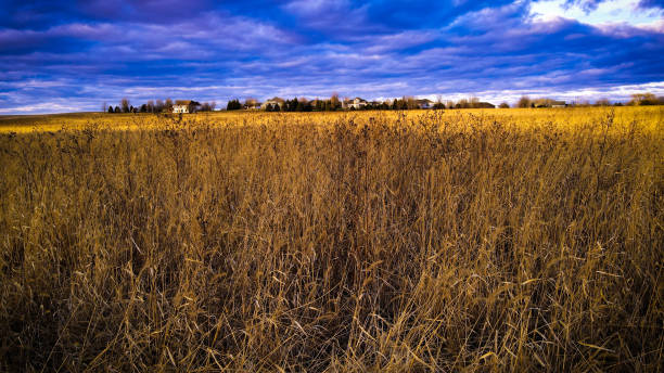 istock Wisconsin Autumn farmland 1357806702