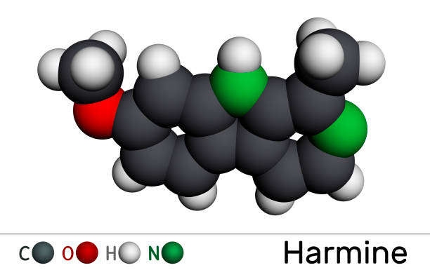 istock Harmine molecule. It is fluorescent harmala alkaloid, inhibits monoamine oxidase A, MAO-A. Molecular model. 3D rendering 1357811364