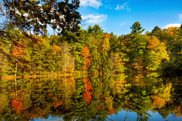 istock Fall colors reflected on Spring Pond in Granby, Connecticut. 1357812061
