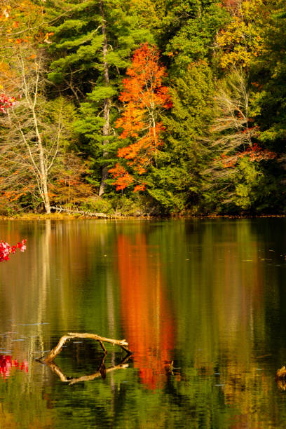 istock Fall colors reflected on Spring Pond in Granby, Connecticut. 1357812078