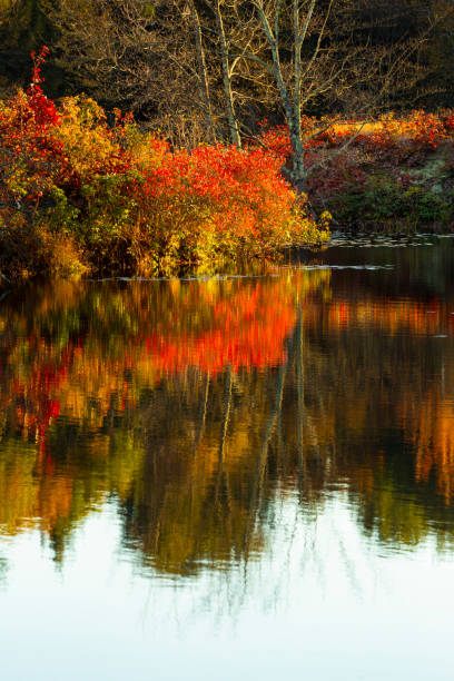 istock Fall colors reflected on Trout Pond in Granby, Connecticut. 1357812245