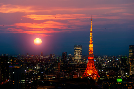 Tokyo city skyline with Tokyo Tower and business center at twilight