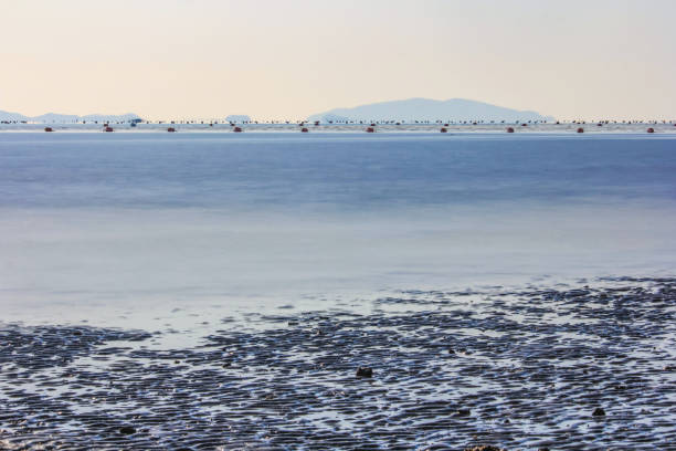 istock Long exposure of sea 1357819762