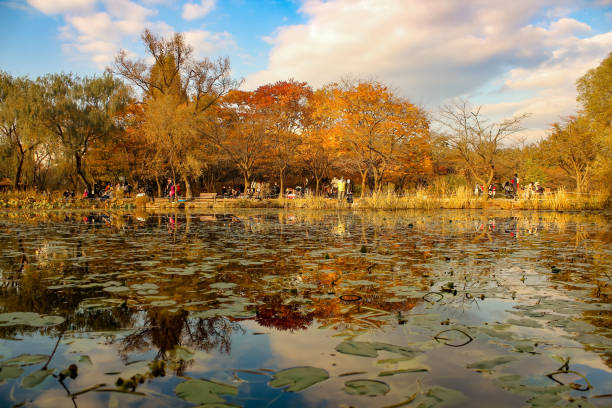 istock Beautiful scene at autumn lake 1357819793