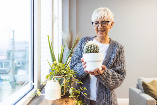 istock Woman Caring for House Plant 1357827829
