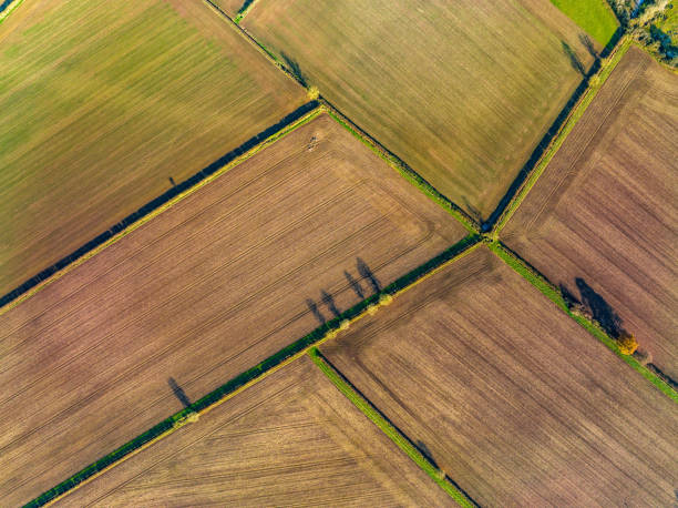 Vast expanses of cultivated fields in England