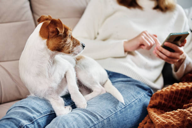 istock Woman sit with dog and use smartphone 1357829035