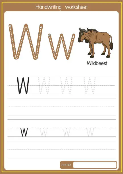 Vector illustration of Vector illustration of Wildbeest with alphabet letter W Upper case or capital letter for children learning practice ABC