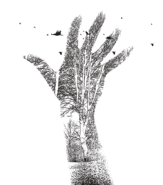 ilustrações, clipart, desenhos animados e ícones de exposição múltipla de mãos, árvores e pássaros - reach for the stars