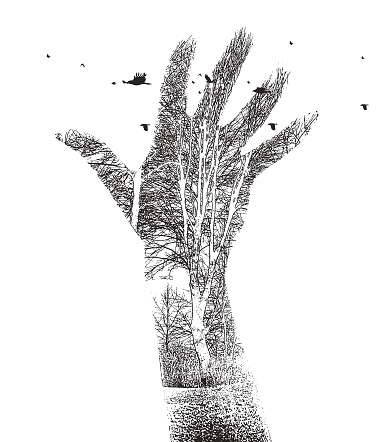 Vector Multiple exposure illustration of hand, trees and birds